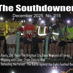 Dec25 Southdowner