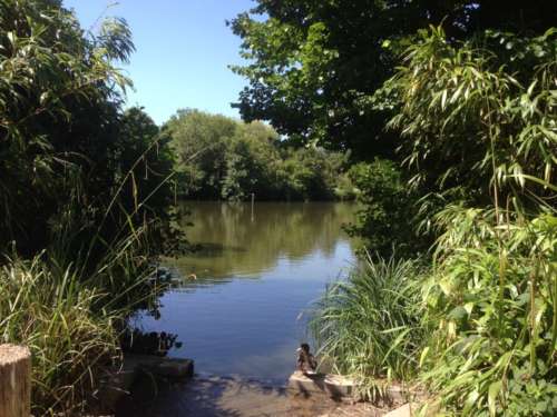 Hampden Park Lake