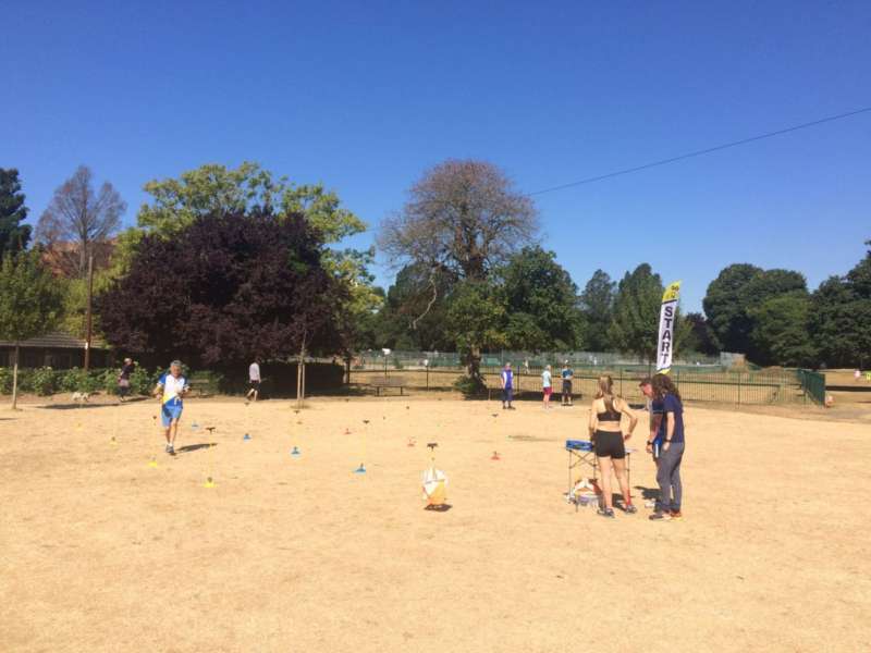 Parched grass at Preston Park!