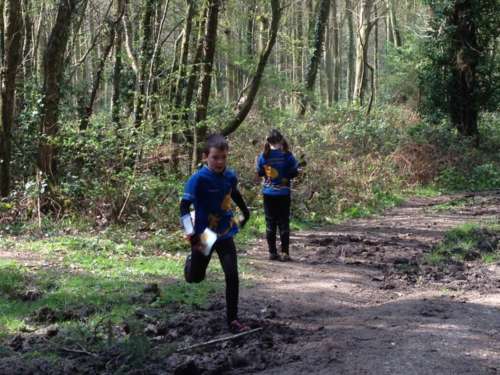 Juniors running at Barnstake Copse
