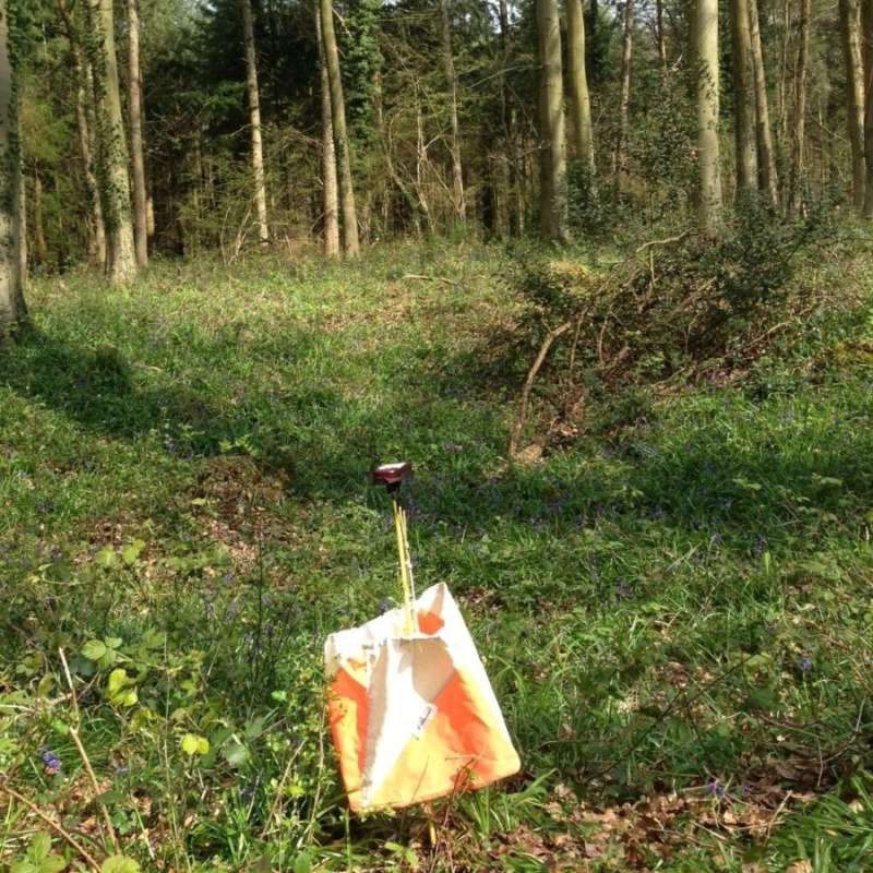 One of the many pits at Barnstake Copse
