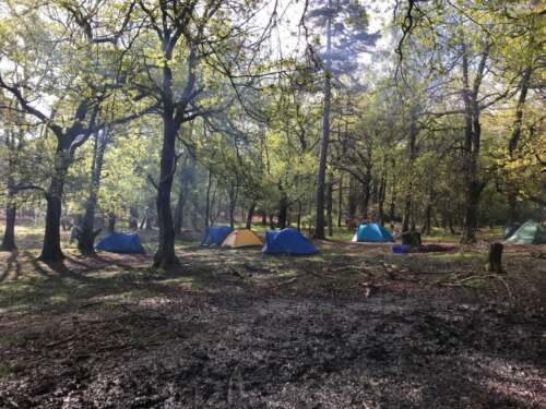 Camping at Broadstone Warren