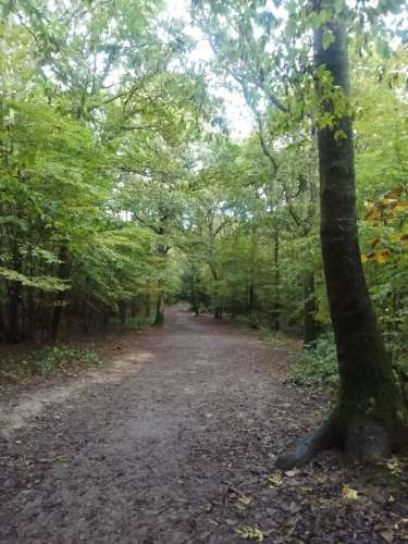 Abbots Wood 251023 1Of3 Resized