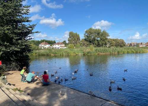 Brooklands Ducks