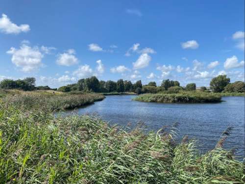 Brooklands Lake