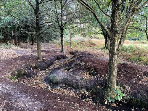 Chailey Img 5841