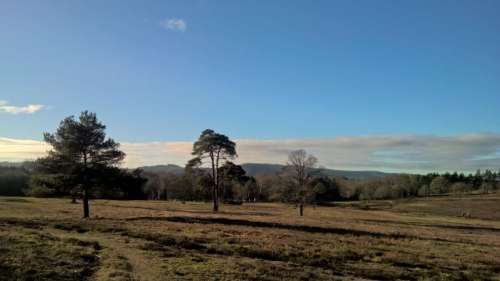 Coates Common