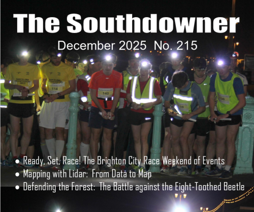 Dec25 Southdowner