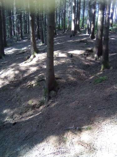 Img 20200813 112011