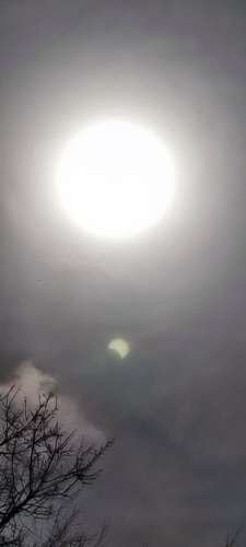 Img 20250329 110809