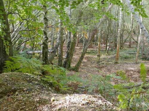Rewell Quarry5 Sml