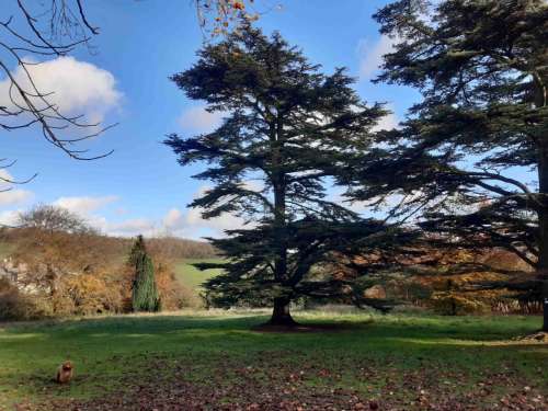 Stanmer Park
