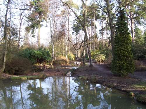 Tilgate 2