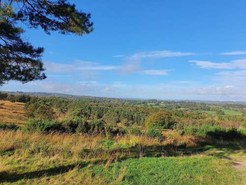 Ashdown