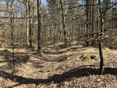 Cowdray Terrain