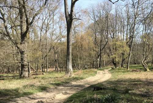 Greentrees View