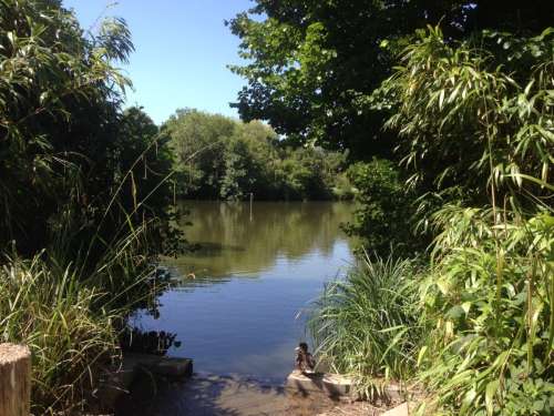 Hampden Lake