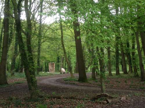 Goffs Park Wood