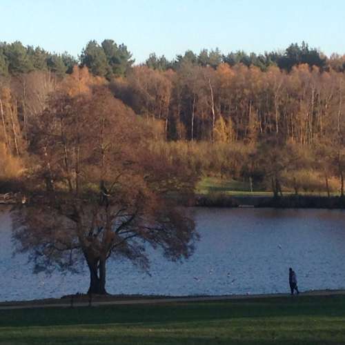 Tilgate Lake "Campbell's Lake"