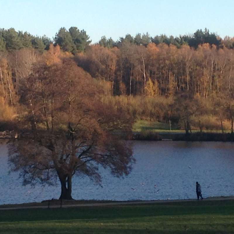 Tilgate Lake "Campbell's Lake"