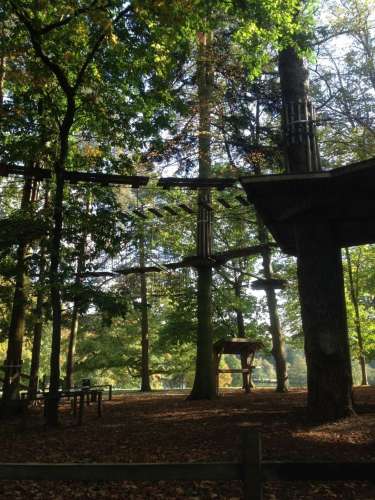 Go Ape Junior