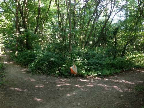Woodland junction