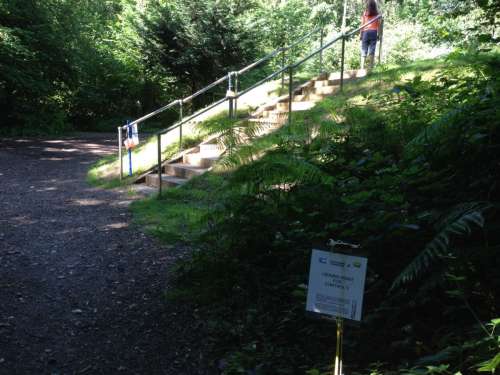 Trail O steps