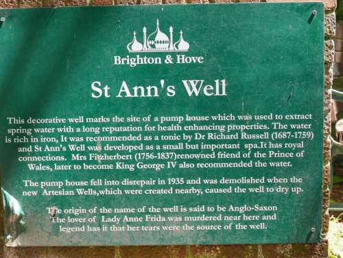 P1090076 Well Plaque