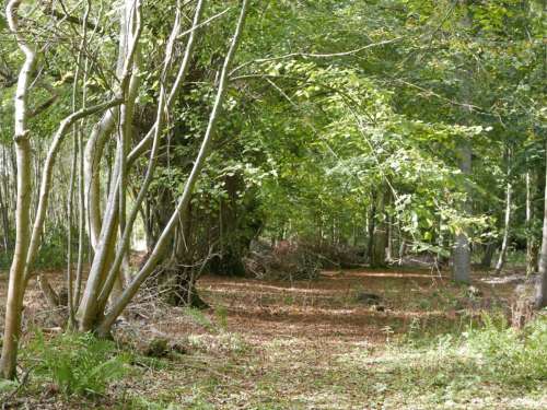 Rewell Quarry1 Sml