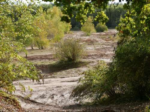 Rewell Quarry3 Sml