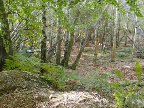 Rewell Quarry5 Sml