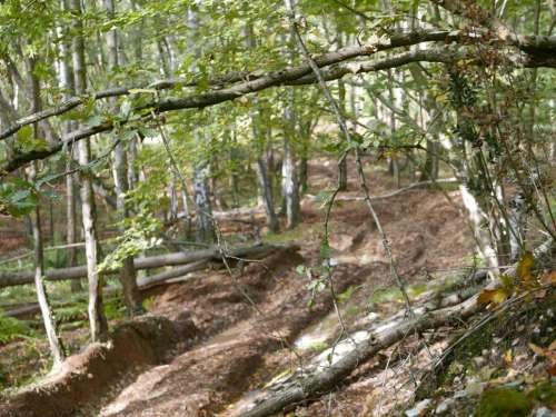 Rewell Quarry6 Sml