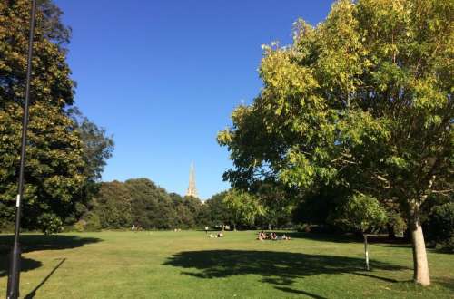 Chi Park