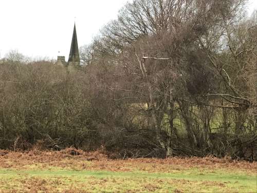 Chailey South Steeple 2