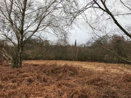 Chailey South Steeple