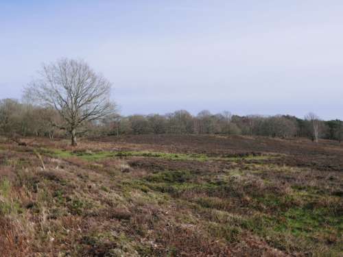 P1100240