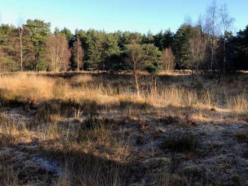 Sull Marsh