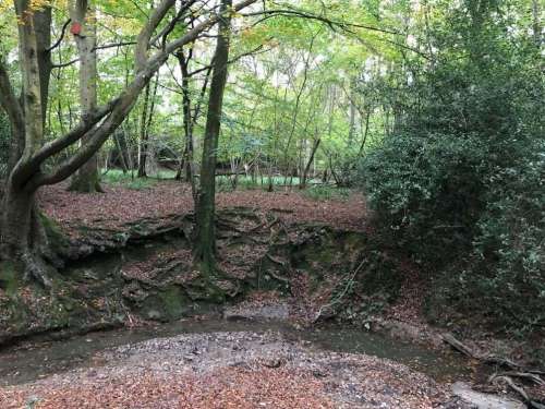 Meandering River Sml
