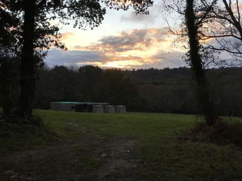Open Fields