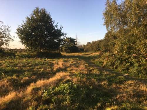 Chailey North 2