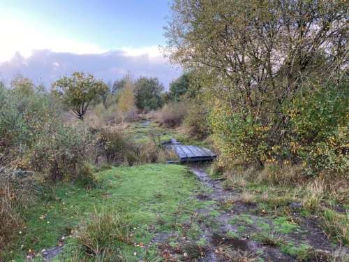 Chailey North 4