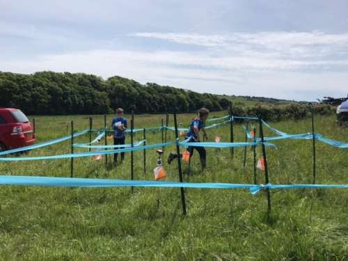 Friston Maze