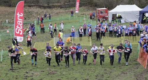 Junior Relay Start