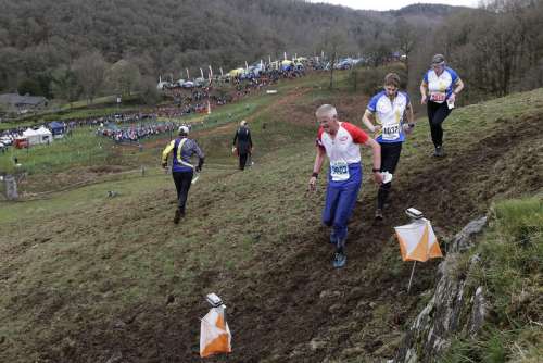 Relay View 2