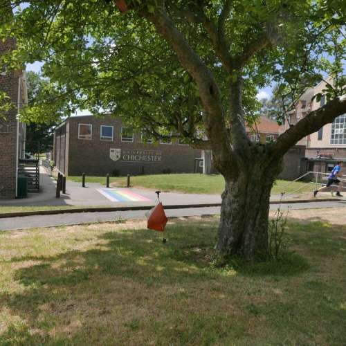 Oaklands Flag And Tree