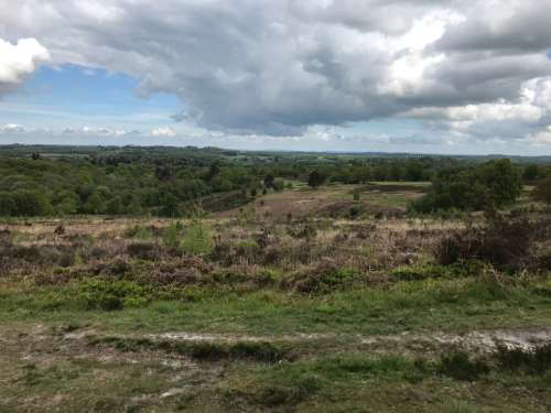 Heathland 2