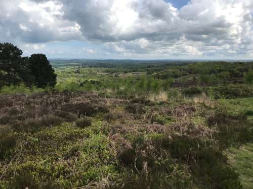 Heathland