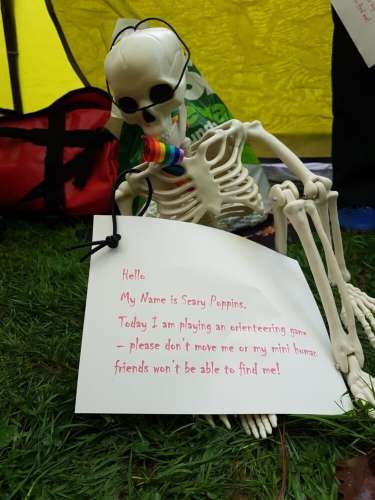 Skeleton
